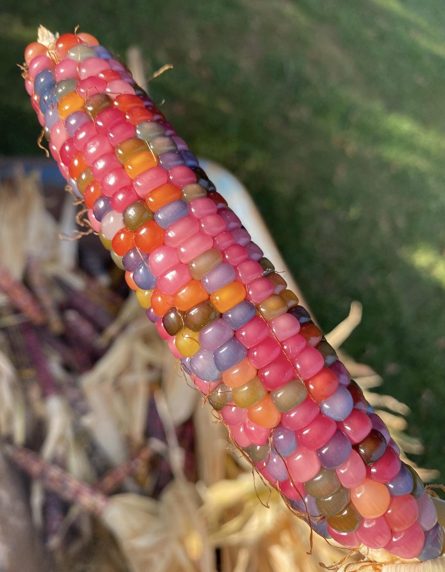 The corns are jewelry. 