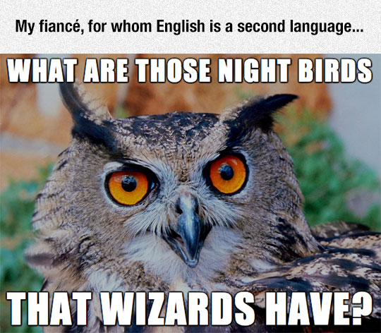 What are those night birds that wizards have?