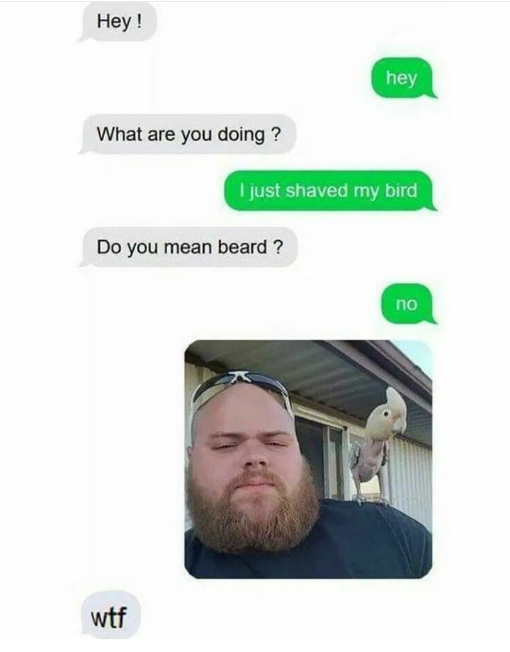 Why would I shave my beard?