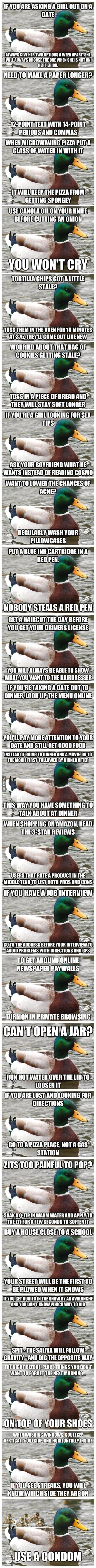 Advice ducky