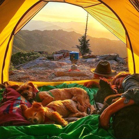 Best kind of camping