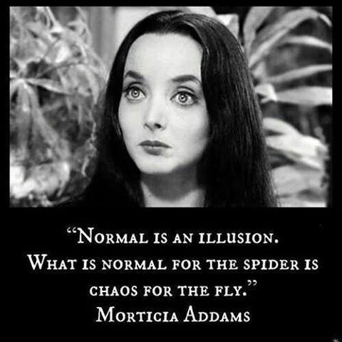 This is a surprisingly good quote from the Addam's Family