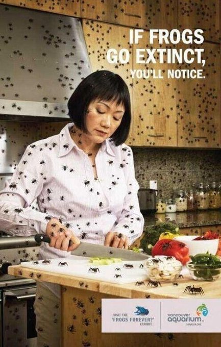 HOLY SH*T SAVE THE GODDAMN FROGS