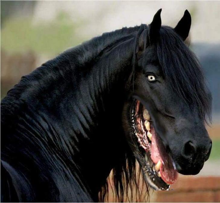 The Night-Mare, Guardian of Hell's Plains