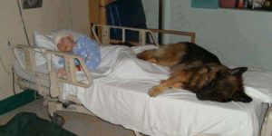 This hospital lets a sick boy’s dog in to give him unconditional comfort.