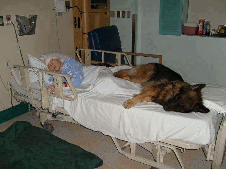 This hospital lets a sick boy's dog in to give him unconditional comfort.