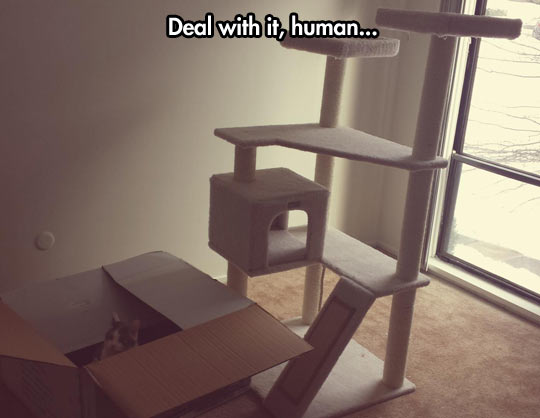 Deal with it, human...