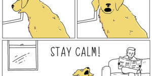stay calm