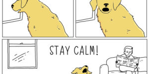 stay+calm