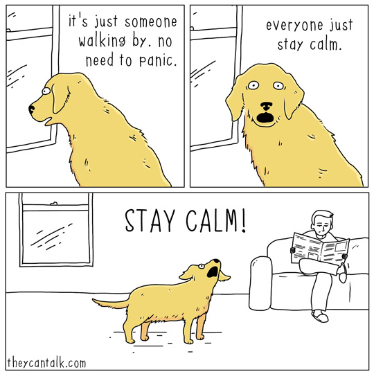 stay calm