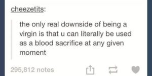 The+only+downside+to+being+a+virgin.