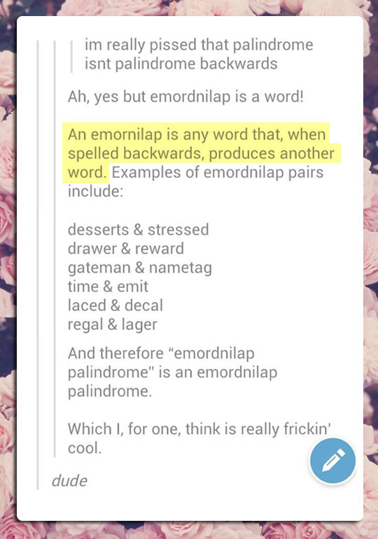 Word of the day: emornilap.