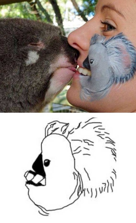 OK but why are you kissing a koala?