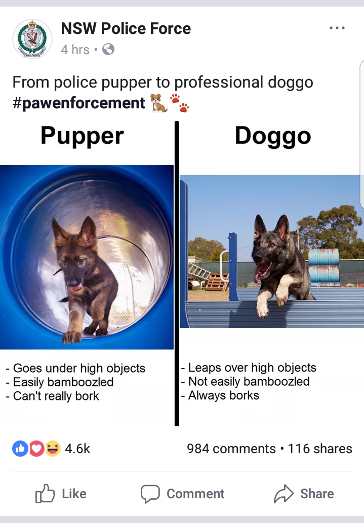 NSW police force continues to provide solid content