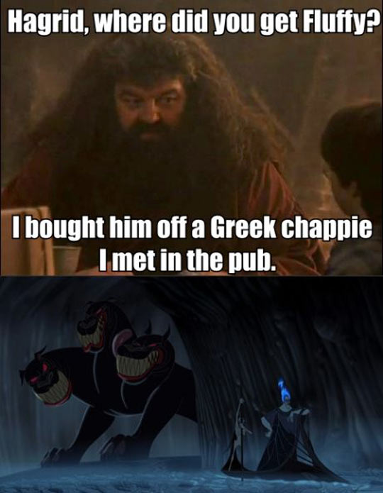 Hagrid... where did you get Fluffy?