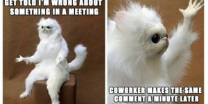 I just don’t talk in meetings anymore