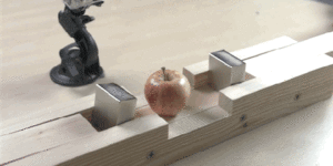 This apple aint got time for your science experiments