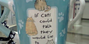 If cats could talk…