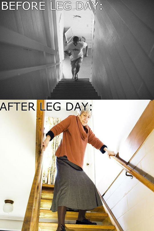 Leg day :/