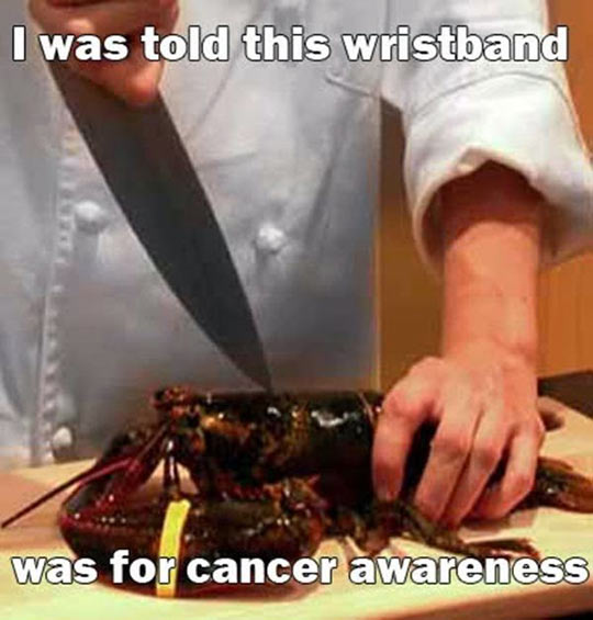Poor Lobster Was Deceived