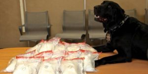 Jack is proud of his meth bust.