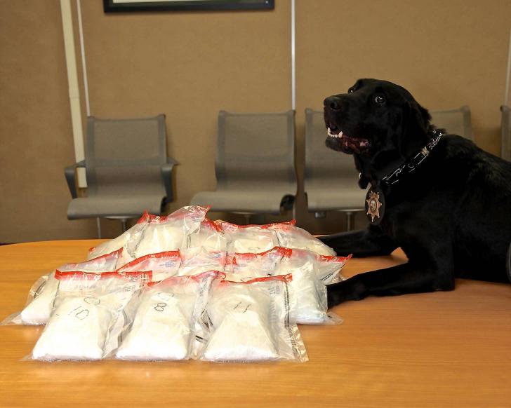 Jack is proud of his meth bust.