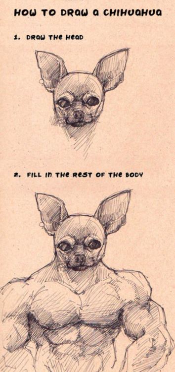 How to draw a chihuahua.