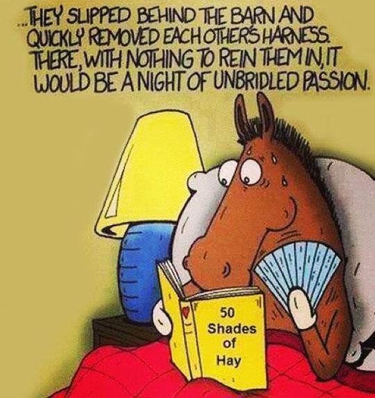 50 Shades of Hay