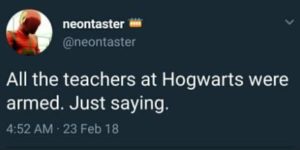 All The Teachers At Hogwarts Were Armed…