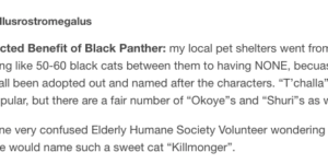 Black Panther is rescuing cats