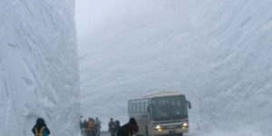 What 60 feet of snow looks like.
