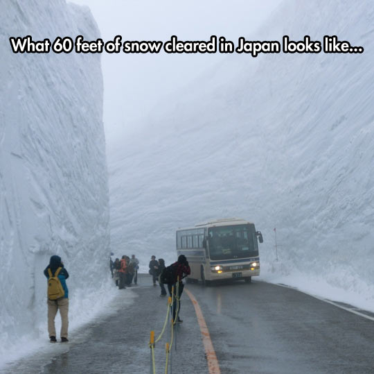 What 60 feet of snow looks like.