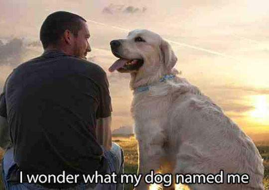 I wonder what my dog named me. 