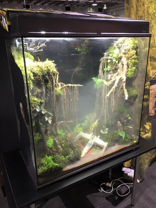 A Dagobah System themed terrarium