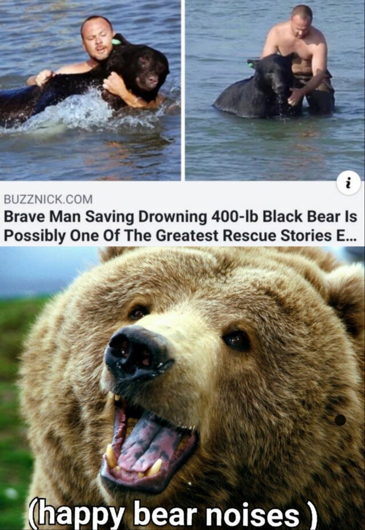 Black bear approved.