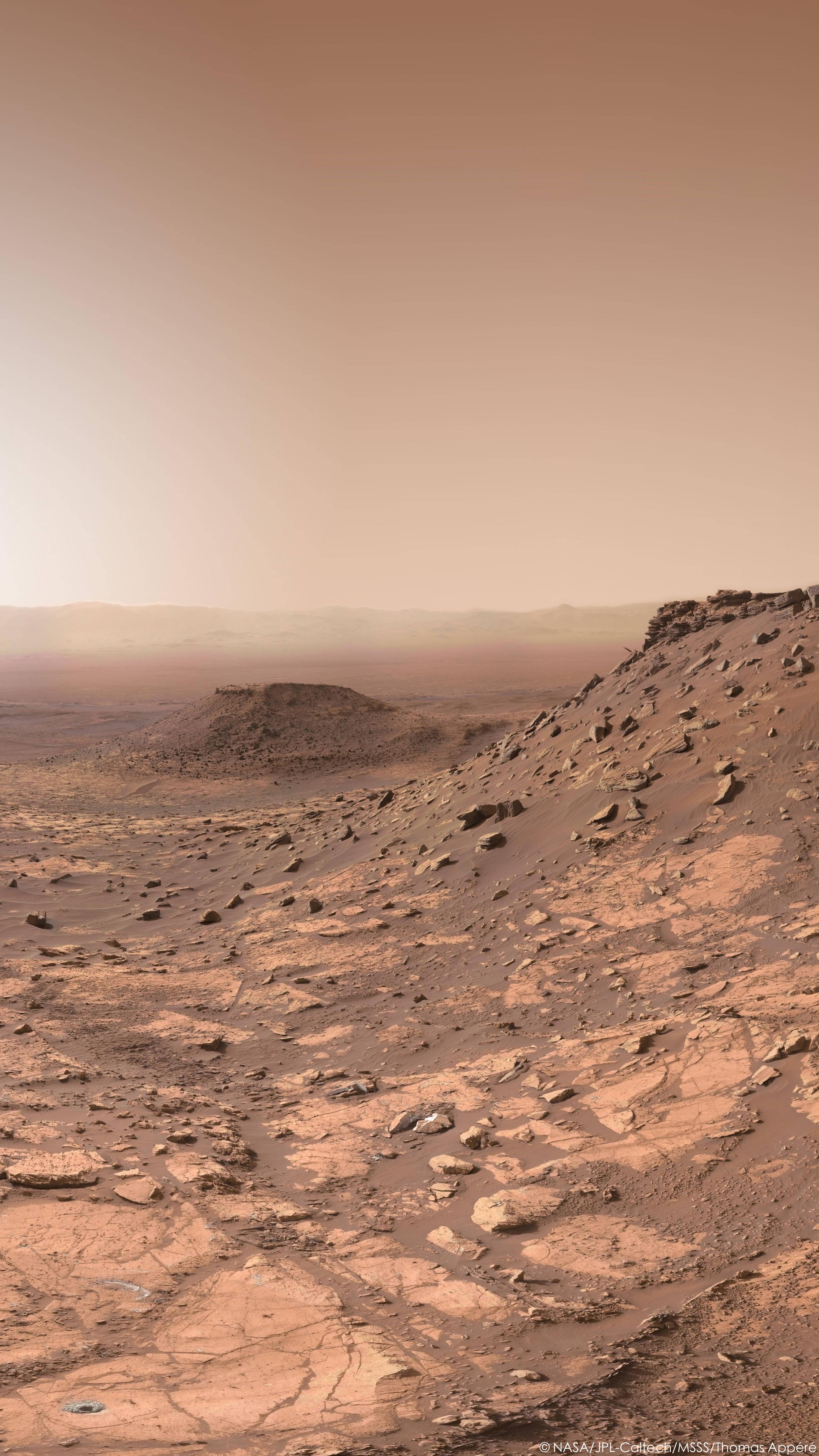 The view on Mars