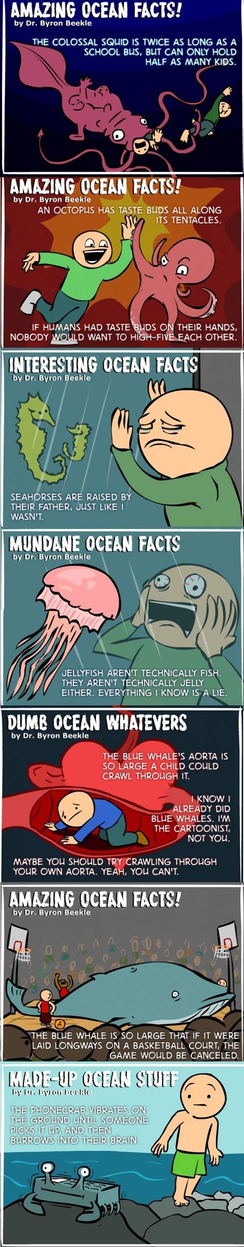 Amazing ocean facts!