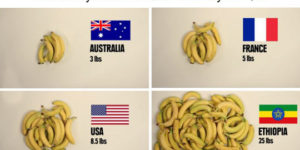 How many bananas you can buy for $5