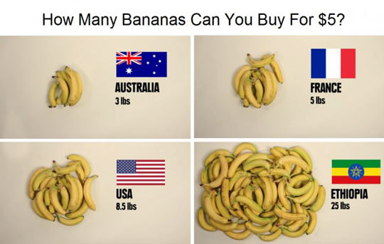 How many bananas you can buy for $5