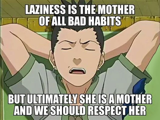 Respect For Laziness