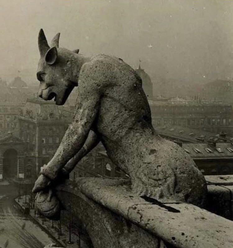 The Gargoyle of Notre Dame overlooking Paris, circus 1910