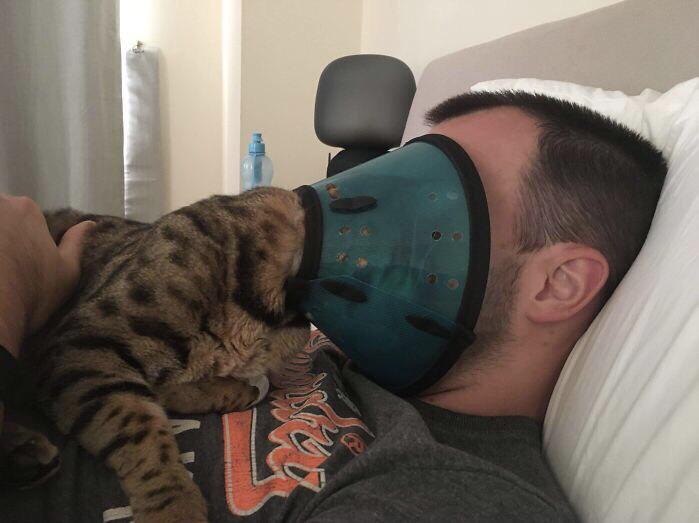Now it is our cone of shame, comrade. - Gato, probably.