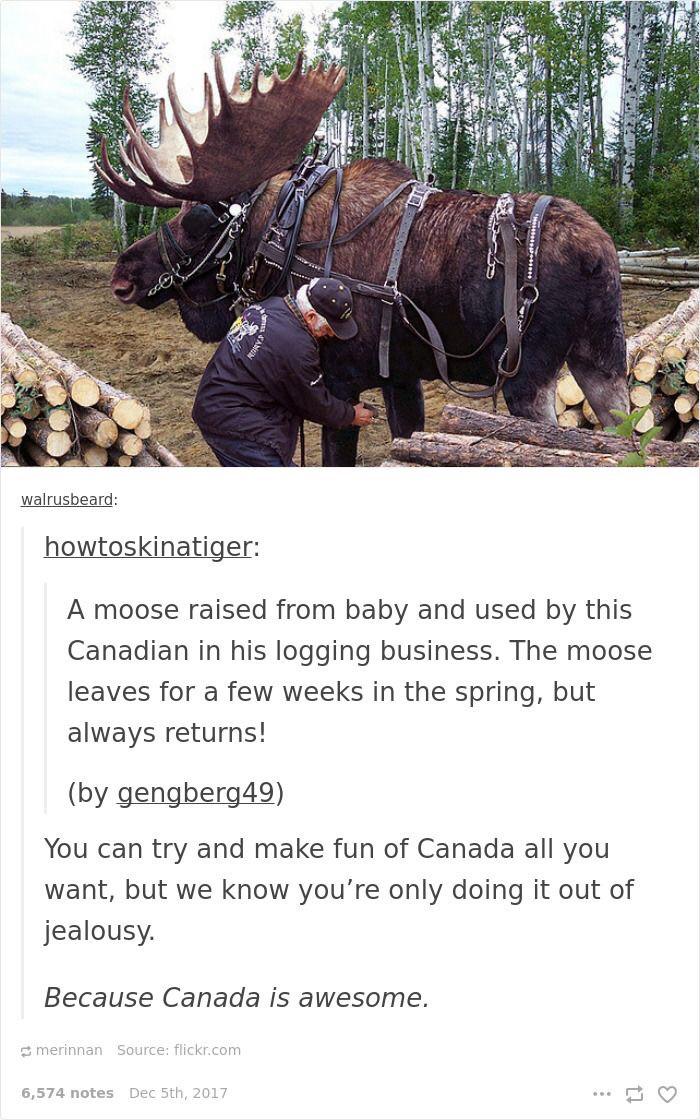 Let the meese work, eh?