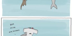 Hammerhead problems