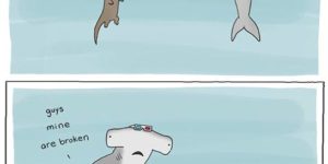 Hammerhead problems