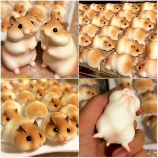 Japanese Hamster Bread.