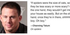 Channing Tatun on spiders