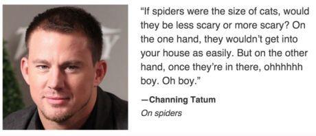 Channing Tatun on spiders