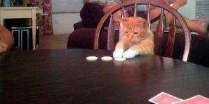 The cutest poker champion.