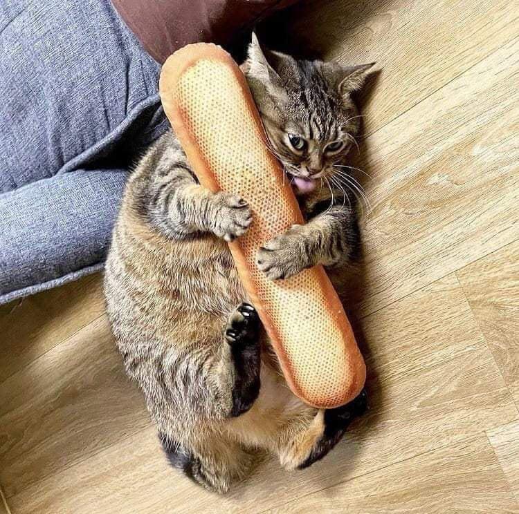 Maurice does love his baguettes... 